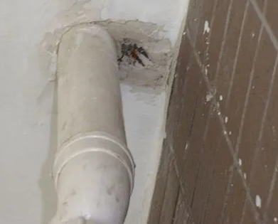 高昌漏水检测哪家好